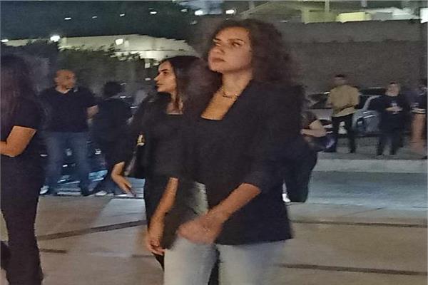 الفنانة جيهان الشماشرجي
