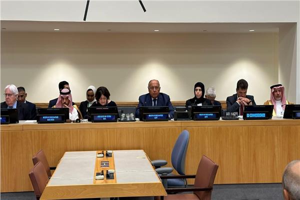 وزير الخارجية خلال إلقاء كلمته