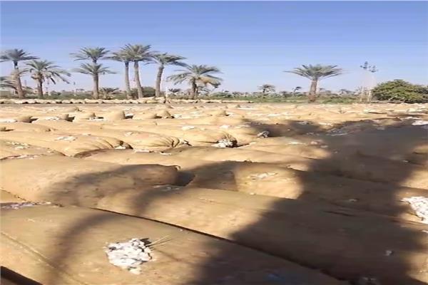 صورة موضوعية