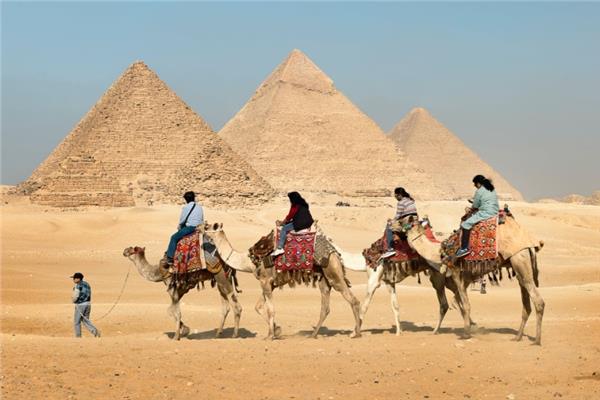 السياحة 