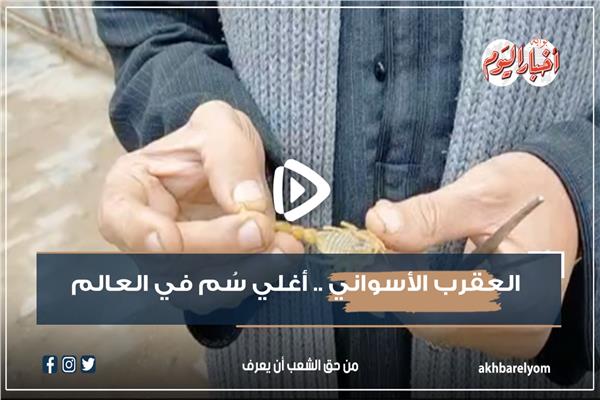 العقرب الأسواني