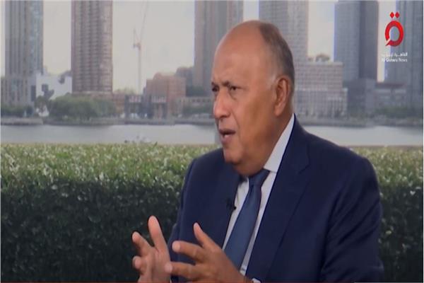 سامح شكري، وزير الخارجية المصري