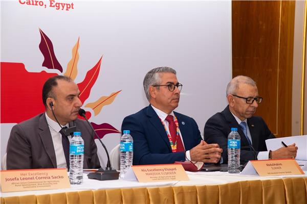 صورة موضوعية