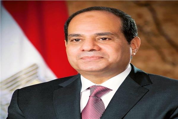 الرئيس عبد الفتاح السيسى رئيس الجمهورية 