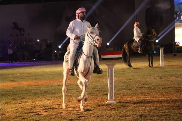 الدورة الـ 27 لمهرجان الشرقية للخيول العربية