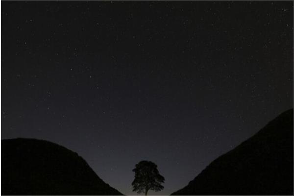 صورة تعبيرية 