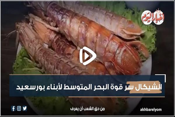 الشيكال المبطرخ