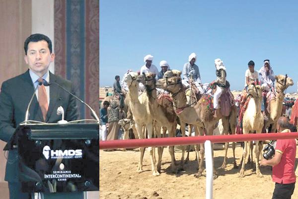 العريش تستعد لمسابقة الهجن--  د. أشرف صبحى