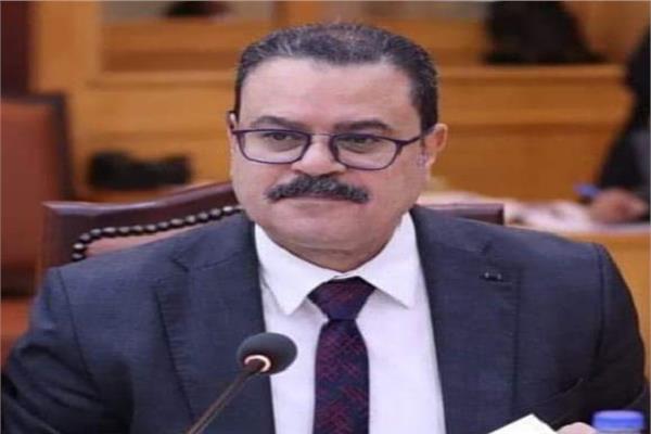  محمد الشربيني، نائب رئيس الجامعة 