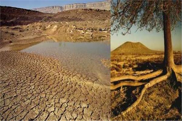 تغيرات المناخ.. الجفاف والحرارة 