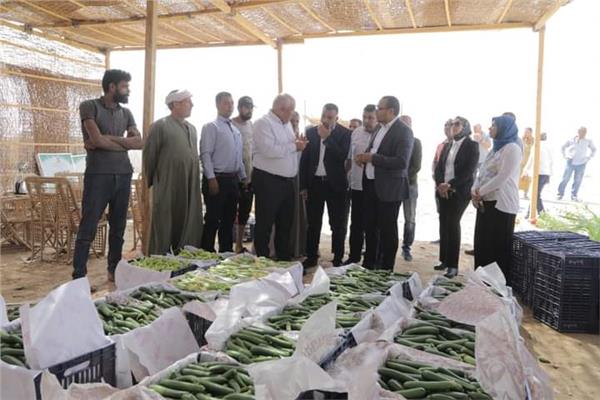 صورة من الحدث