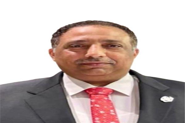 عبد الغفار السلامونى