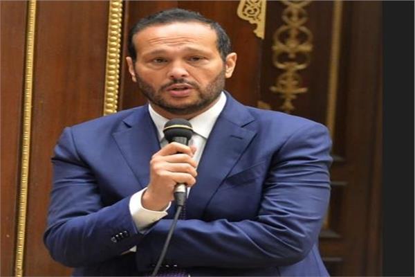 محمد حلاوة رئيس لجنة الصناعة بمجلس الشيوخ