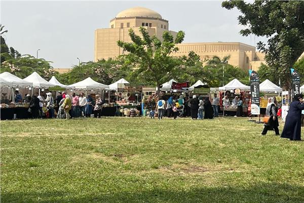 مهرجان الجبن المصرى