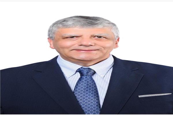 الدكتور عمرو عدلى رئيس الجامعة المصرية اليابانية