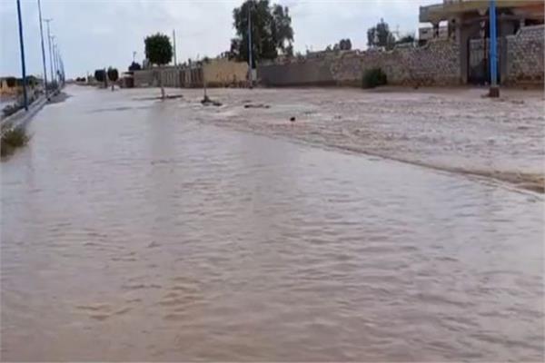 صورة من البرنامج