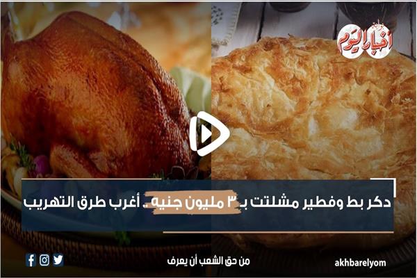 أغرب طرق التهريب