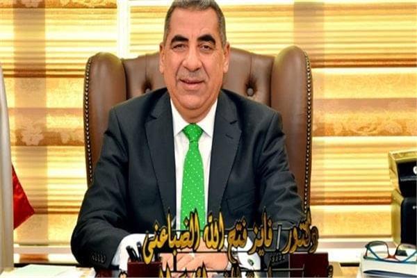 الدكتور فايز الضباعني رئيس مصلحة لضرائب المصرية