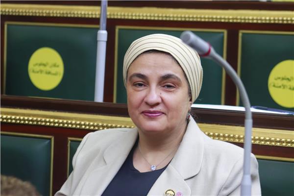  النائبة سميرة الجزار 