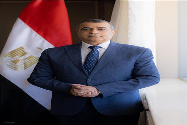 المهندس محمد صلاح الدين مصطفى وزير الدولة للإنتاج الحربي