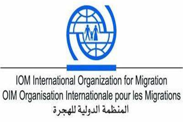 الهجرة الدولية
