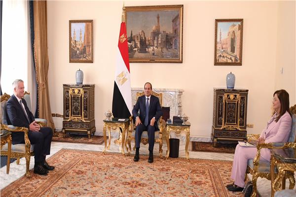الرئيس السيسي خلال لقائه سكرتير عام منظمة التعاون الاقتصادي