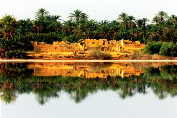 واحة سيوة تستعد لمهرجان التمور
