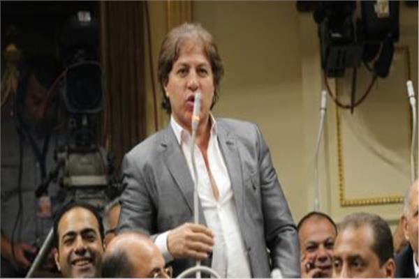 النائب ثروت سويلم عضو مجلس النواب