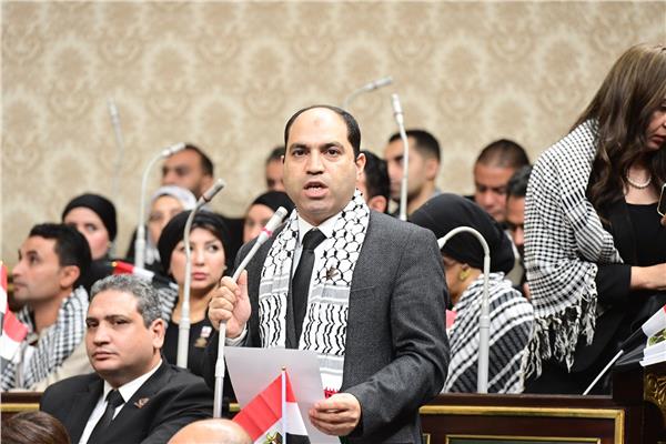 النائب عمرو درويش