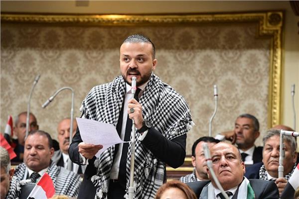  النائب محمد الجارحي