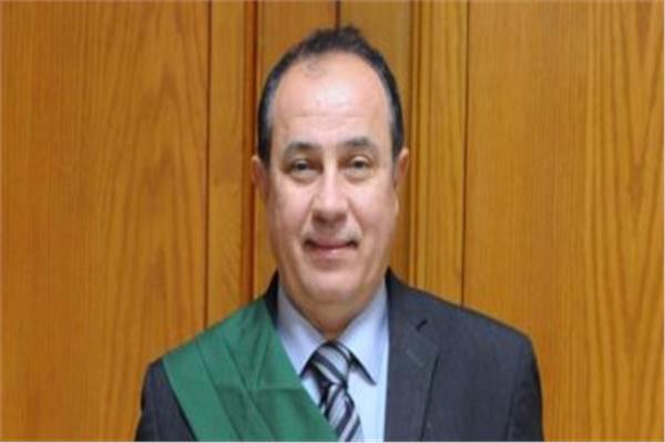 المستشار وجدي محمد عبدالمنعم