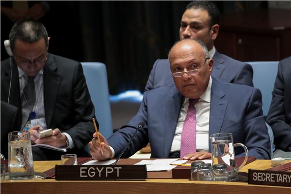 سامح شكري