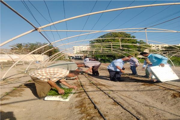 الاستفادة المستمرة من الأصول الثابتة لوزارة الزراعة