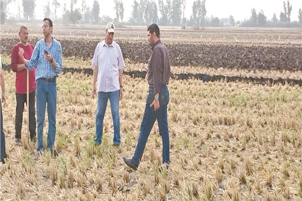 متابعة حرق المخلفات الزارعية على الطبيعة 