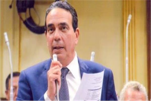 الدكتور أيمن أبو العلا وكيل لجنة حقوق الإنسان بمجلس النواب