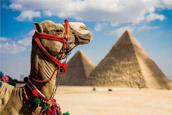 أهرامات الجيزة 