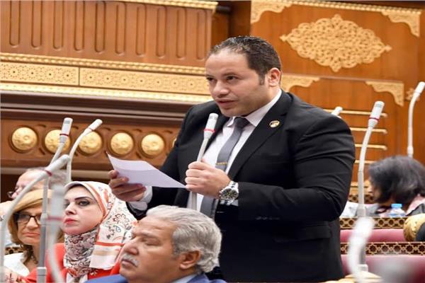 النائب مصطفى سالمان