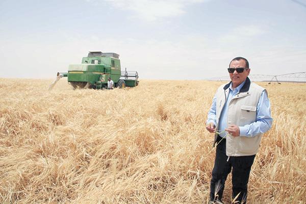 اللواء مهندس عمرو عبد الوهاب