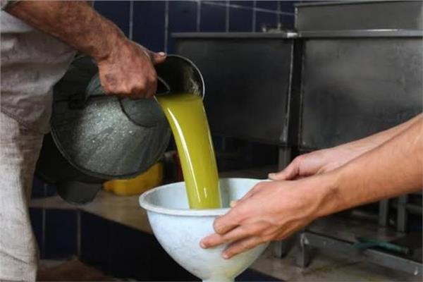 زيت الزيتون الفلسطيني