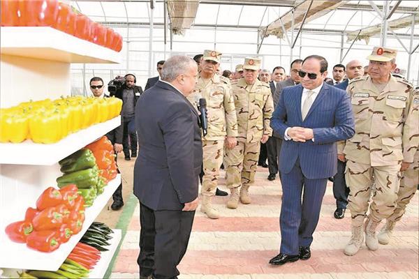 الرئيس السيسى يتفقد أحد المشروعات الزراعية