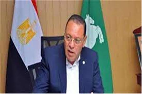 الدكتور ممدوح غراب محافظ الشرقية