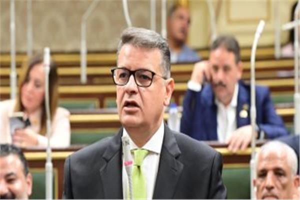 النائب طارق رضوان، رئيس لجنة حقوق الإنسان بمجلس النواب