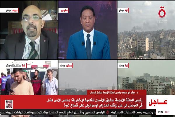 الدكتور هيثم أبوسعيد، رئيس البعثة الأممية لحقوق الإنسان