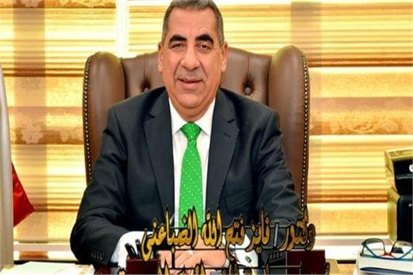 الدكتور فايز الضباعني رئيس مصلحة الضرائب المصرية