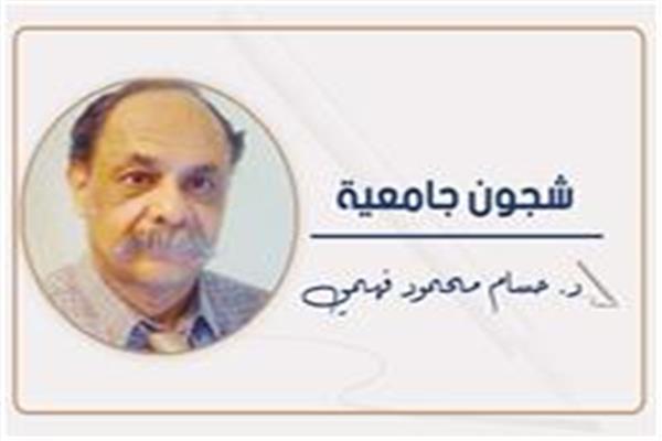 د. حسام محمود فهمى