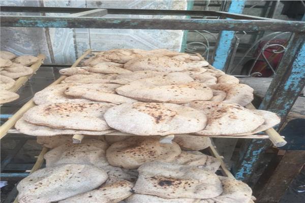 حملات تموينية بالإسماعيلية