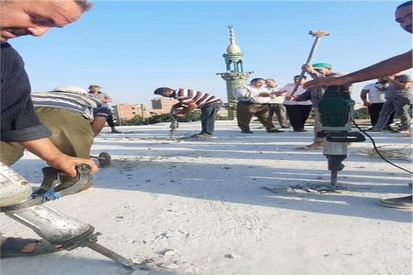 صورة موضوعية