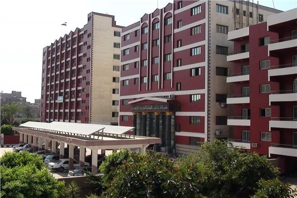 شركة جنوب الدلتا لتوزيع الكهرباء