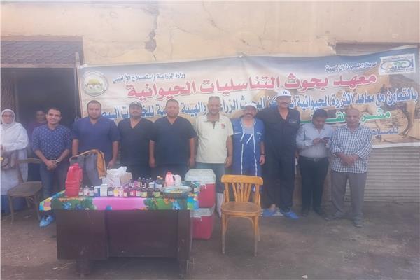 صورة موضوعية
