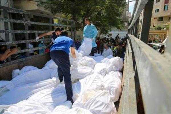 مقابر جماعية في غزة